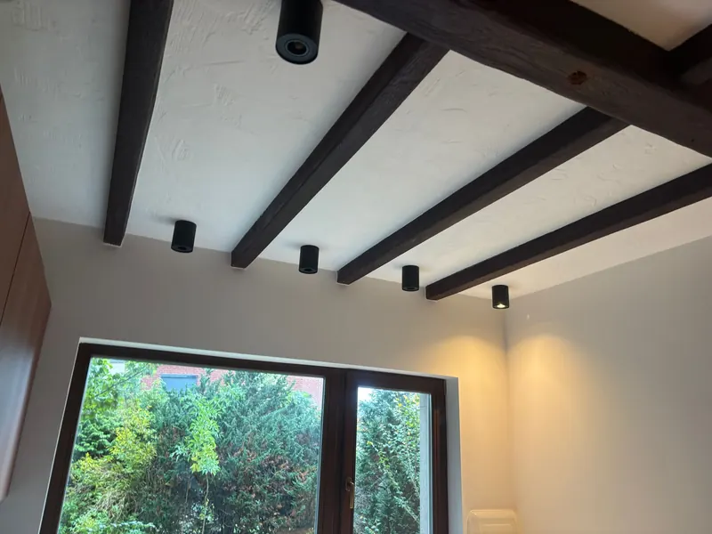 leefruimte met balkenplafond, spots en zicht op tuin