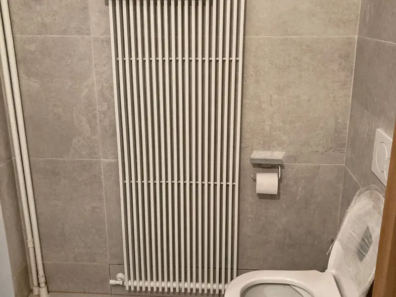 toilet met designradiator, afgewerkt
