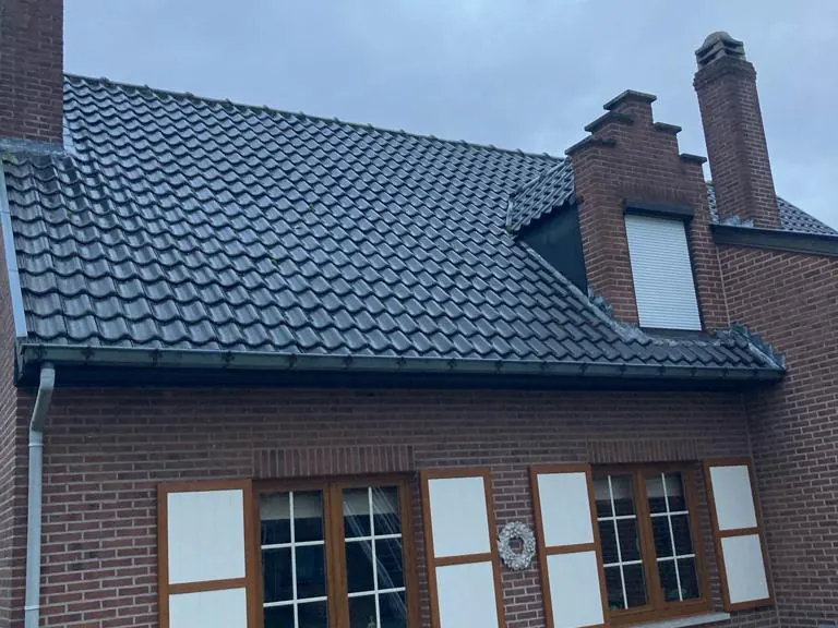 oude dak tuinzijde, zelfde hoek als 272