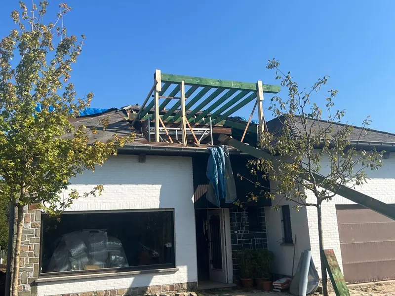 woning met nieuwe dakstructuur, overzicht