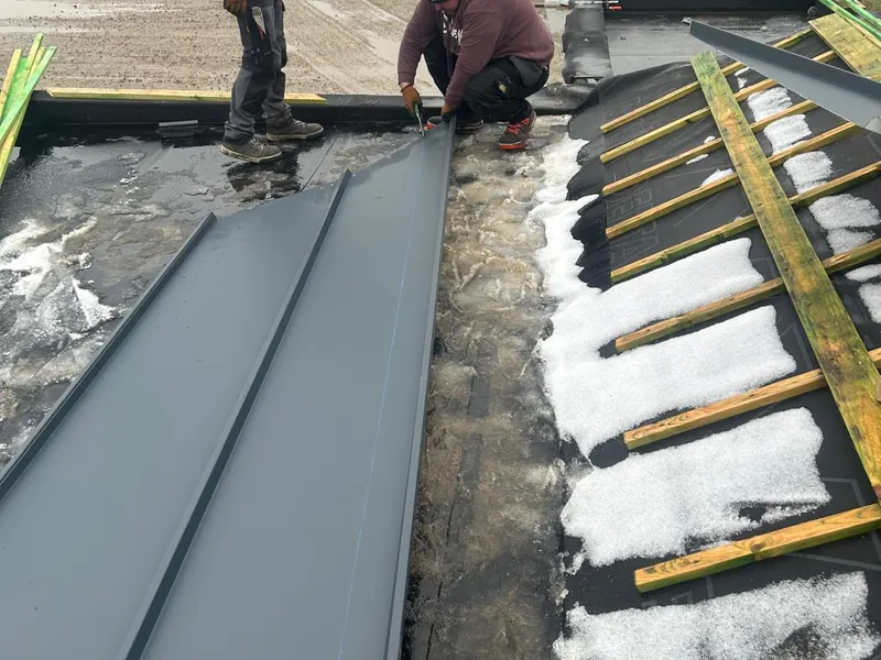 antraciet dakpanelen op de latten, patroon